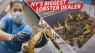 How Steven Wong Moves 80,000 Pounds of Lobster a Week — Vendors