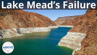 The Real Reason Lake Mead is Drying Up