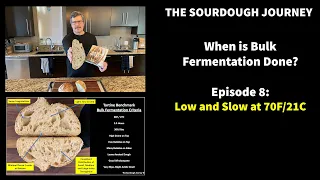 When is Bulk Fermentation Done? - Episode 8: “Low and Slow at 70F/21C"