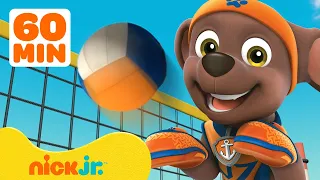 PAW Patrol Sports Day Rescues! w/ Zuma, Chase & Rocky | 1 Hour Compilation | Nick Jr.