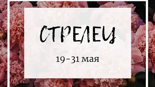 СТРЕЛЕЦ 19-31 мая🍀/TAROT