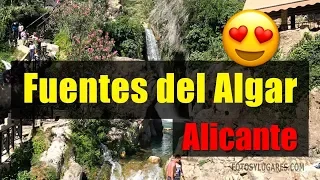 Fuentes del Algar en Alicante. Disfruta de cascadas y aguas cristalinas 😍
