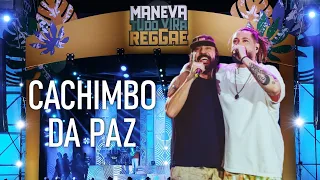 Maneva, Gabriel Pensador - Cachimbo da paz  (Tudo Vira Reggae - Ao Vivo)