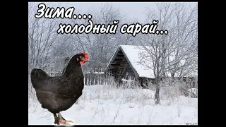 Зима, Холодный Сарай...доминанты