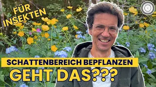 SCHATTENBEREICH bepflanzen - Inspirationsquelle NATUR + REAKTION auf ReNature & MEGABAUSTELLE