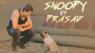 Snoopy vs Prasad | Malliswari | Venkatesh | Brahmanandam | Sunil | Katrina Kaif | Suresh Productions