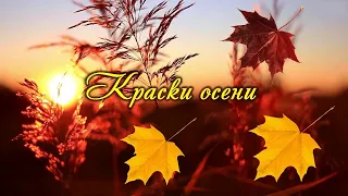 Краски осени