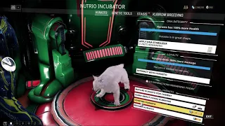 What happens when you consign your Kubrow in Warframe?