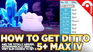 How to Get a 5+ MIX IV Ditto (And Why You Won't Want To) Pokemon Brilliant Diamond