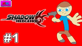 2024, The year of Shadow! | Shadow The Hedgehog (#1)