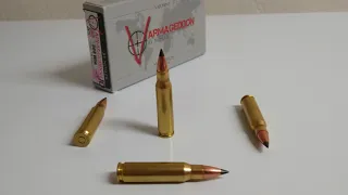 .308 Win - Nosler Varmageddon FB Tipped 110 gr: AR-10 gel test 4/14/23