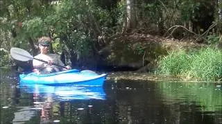 Alligator Attack on Kayak LOL!