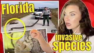 New Zealand Girl Reacts to 8 of Florida's Most Invasive Species !!!