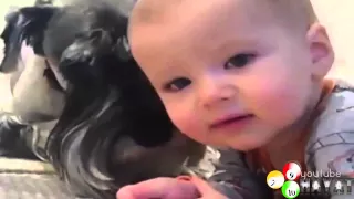 Funny babies and animals bathing together   Cute baby & animal compilation