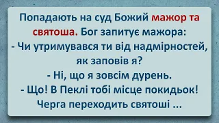 💠 Мажор та Святоша! Українські Анекдоти! Анекдоти Українською! Епізод #254