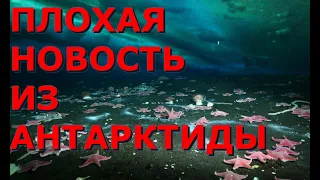 ПЛОХАЯ НОВОСТЬ ДЛЯ ЧЕЛОВЕЧЕСТВА! В Антарктиде обнаружена утечка метана