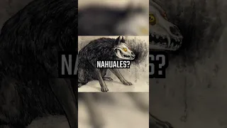 Los Nahuales #nahuales #nahual #paranormal #bruja #chamanismo #terror #horror #leyenda