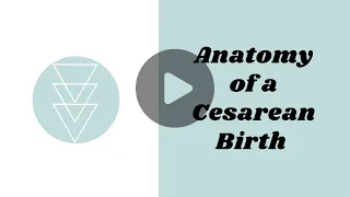 Anatomy of a C-Section