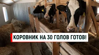 КОРОВНИК (САРАЙ) НА 30 ГОЛОВ ГОТОВ! КАК ВСЕ РАБОТАЕТ В КОРОВНИКЕ И НЕ ТОЛЬКО...