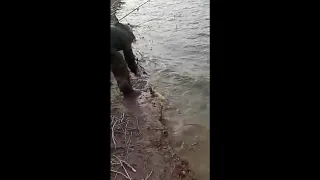 Рыбалка Талас кировка Киргизия