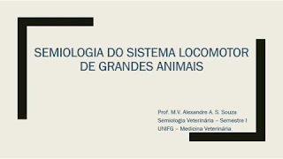 Semiologia do Sistema Locomotor de Grandes Animais