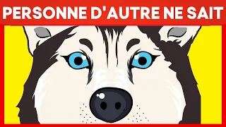 17 secrets que votre Chien connaît sur Vous | Incroyablement Top