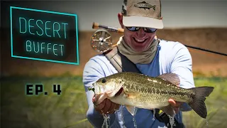 Desert Buffet - Bass Fly Fishing & UNDERWATER Bluegill Action!!!