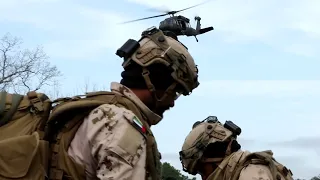 U.S. Army 10th Mountain Division and UAE Soldiers conduct Air Assault