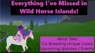 Everything I've Missed in Wild Horse Islands