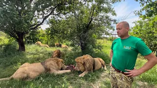 ОЧЕНЬ ЭКСТРЕМАЛЬНО! Новый маразм Белогорских чиновников!