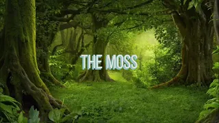 The Moss - Cosmo Sheldrake Lyric Video