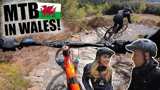 Shredding Gwydir Mawr MTB trail// NORTH WALES MTB!