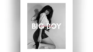 SZA - BIGBOY ft HONI (BVNG REMIX)