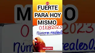 Un SÓLO NÚMERO FUERTES para HOY #análisisdehoy #númerosreales_05_hoy #shortvideos #viral