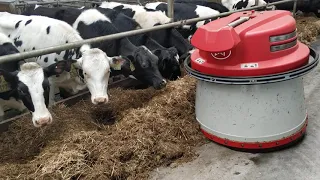 Робот на современной ферме