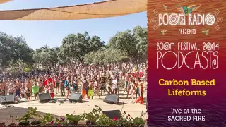 Carbon Based Lifeforms - Sacred Fire 05 - Boom Festival 2014