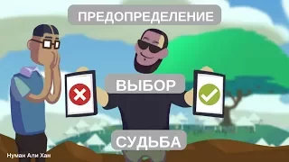 Предопределение, Выбор или Судьба? | Нуман Али Хан #freequraneducation