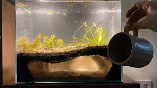 Making a Cave in a Fishtank with Pottery