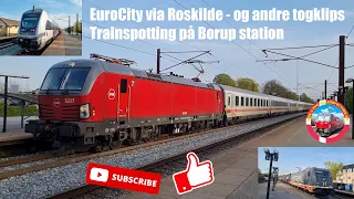 Trainspotting på Borup station (EuroCity via Roskilde) og andre togklips