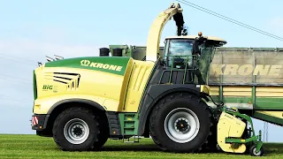 Krone Big X 780 in the field chopping grass | Silage Season 2021 | Danish Agriculture