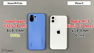 iPhone 11 vs Xiaomi Mi 11 lite Speed Test, Camera Test, Display Test