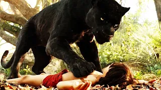 A young boy was trained by a BLACK PANTHER to face the MIGHTY BENGAL TIGER - RECAP