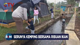 Serunya Kemping di Lembah Tanjung Bersama Ribuan Ikan - BIM 29/11