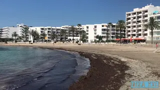 Dolfijnen Cruise Ibiza ★ Ibiza XXL