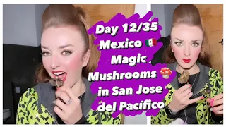 Day 12/35 MEXICO 🇲🇽 : Magic Mushrooms 🍄 in San Jose del Pacífico! - Erin Micklow Travels