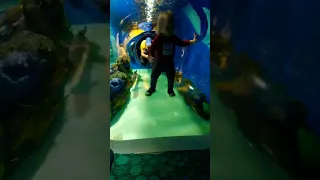 Ripley's Aquarium and the North America's longest underwater viewing tunnel ♥️