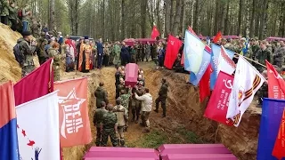 Синявинские высоты (церемония перезахоронения останков солдат)