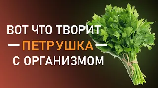 Вот что творит петрушка! Польза и вред