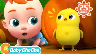 Little Chick Search Song | Little Chick, Where Are You? + Baby ChaCha Nursery Rhymes & Kids Songs