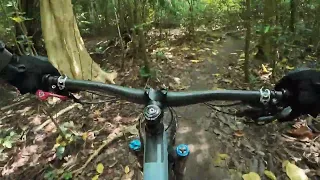 Chestnut South (Singapore) Trail Loop RAW